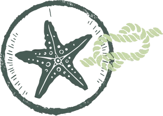 dessin corde et etoile de mer vert