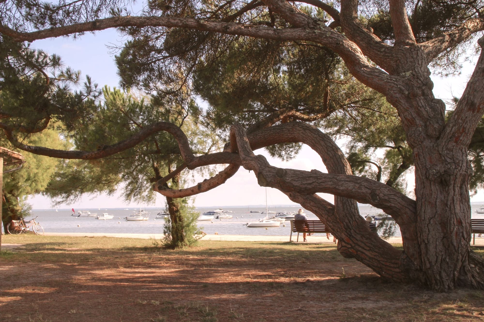 andernos les bains jetée bassin camping pasteur